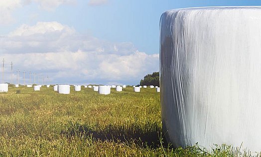 Silage bales combine convenient size with excellent feed quality.