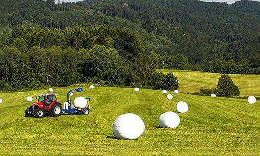 The bales are wrapped directly in the field after being formed.